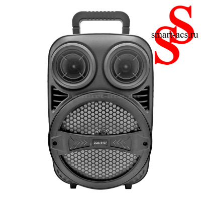 КОЛОНКА ZQS 8107